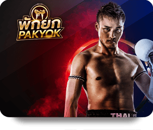 Giới Thiệu Dịch Vụ Mới Tại JUN88 Thể Thao VIP